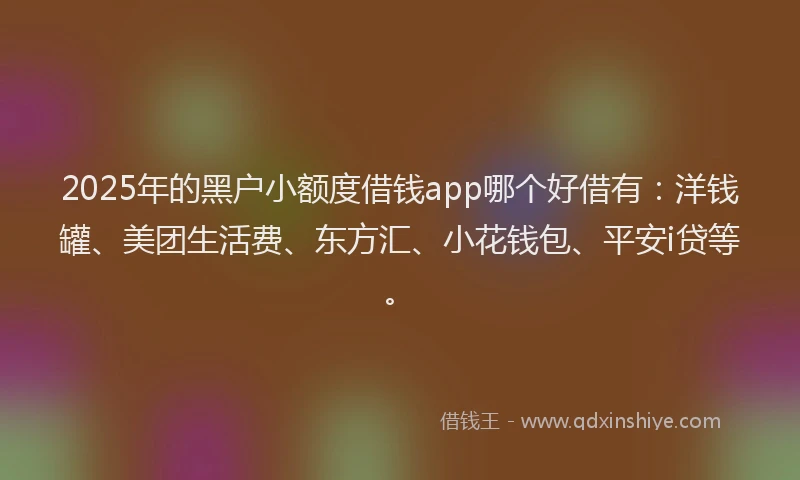 2025年的黑户小额度借钱app哪个好借有：洋钱罐、美团生活费、东方汇、小花钱包、平安i贷等。