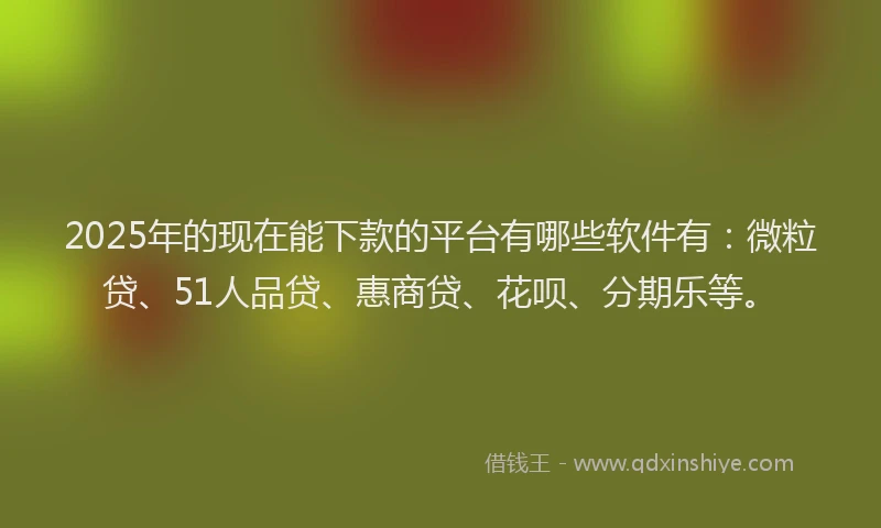 2025年的现在能下款的平台有哪些软件有：微粒贷、51人品贷、惠商贷、花呗、分期乐等。