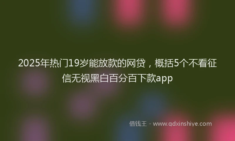 2025年热门19岁能放款的网贷，概括5个不看征信无视黑白百分百下款app
