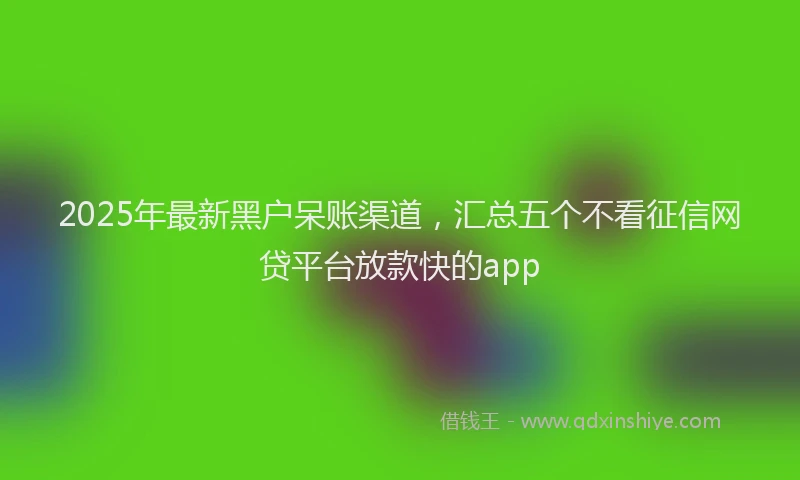 2025年最新黑户呆账渠道，汇总五个不看征信网贷平台放款快的app