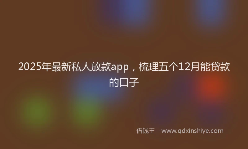 2025年最新私人放款app，梳理五个12月能贷款的口子
