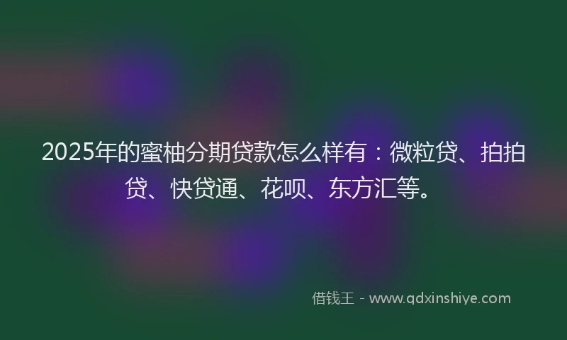 2025年的蜜柚分期贷款怎么样有：微粒贷、拍拍贷、快贷通、花呗、东方汇等。