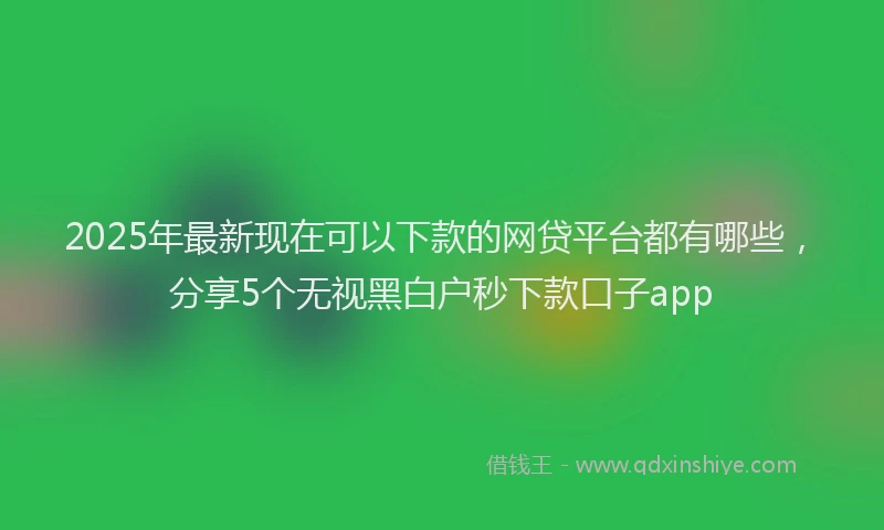2025年最新现在可以下款的网贷平台都有哪些，分享5个无视黑白户秒下款口子app