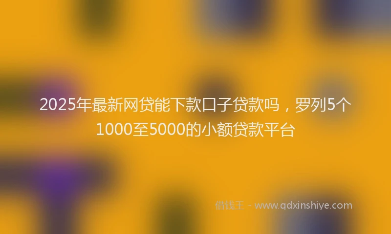 2025年最新网贷能下款口子贷款吗，罗列5个1000至5000的小额贷款平台