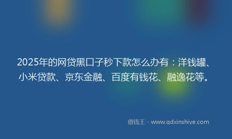 2025年的网贷黑口子秒下款怎么办有：洋钱罐、小米贷款、京东金融、百度有钱花、融逸花等。