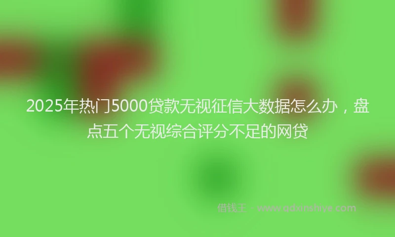 2025年热门5000贷款无视征信大数据怎么办，盘点五个无视综合评分不足的网贷