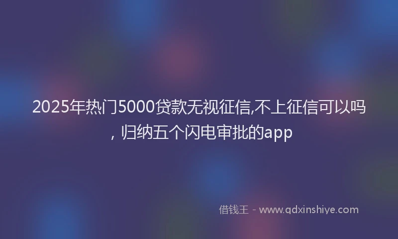 2025年热门5000贷款无视征信,不上征信可以吗，归纳五个闪电审批的app