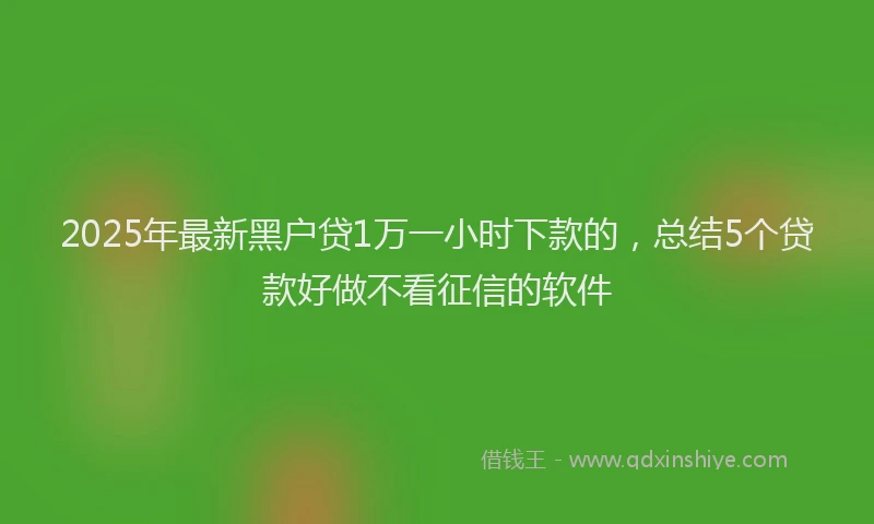 2025年最新黑户贷1万一小时下款的，总结5个贷款好做不看征信的软件