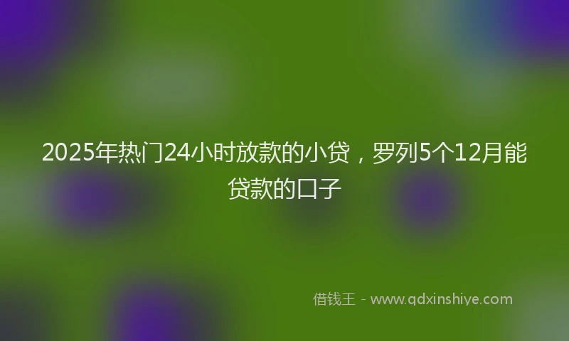2025年热门24小时放款的小贷，罗列5个12月能贷款的口子