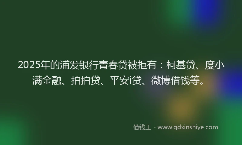 2025年的浦发银行青春贷被拒有：柯基贷、度小满金融、拍拍贷、平安i贷、微博借钱等。