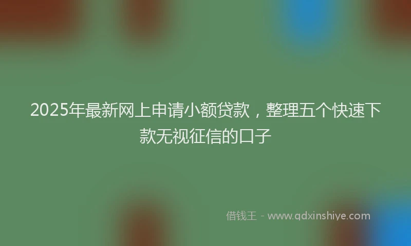 2025年最新网上申请小额贷款，整理五个快速下款无视征信的口子