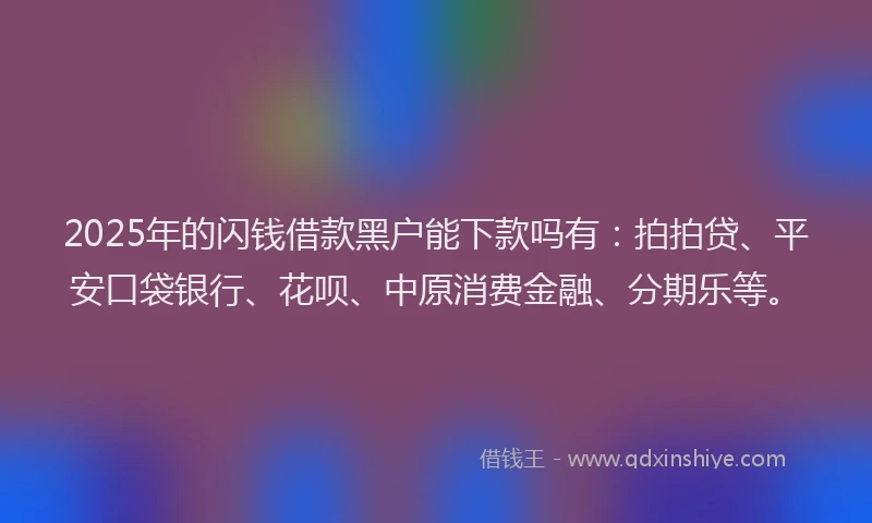 2025年的闪钱借款黑户能下款吗有：拍拍贷、平安口袋银行、花呗、中原消费金融、分期乐等。