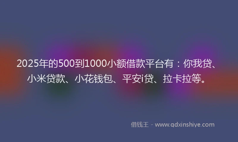 2025年的500到1000小额借款平台有：你我贷、小米贷款、小花钱包、平安i贷、拉卡拉等。
