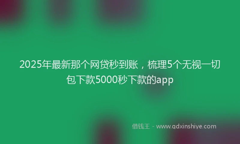 2025年最新那个网贷秒到账，梳理5个无视一切包下款5000秒下款的app