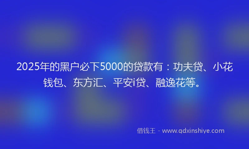 2025年的黑户必下5000的贷款有：功夫贷、小花钱包、东方汇、平安i贷、融逸花等。