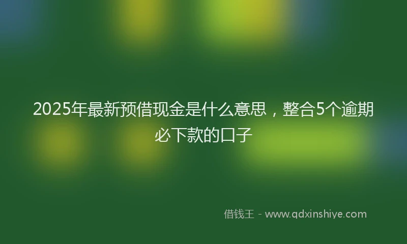 2025年最新预借现金是什么意思，整合5个逾期必下款的口子