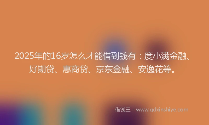2025年的16岁怎么才能借到钱有：度小满金融、好期贷、惠商贷、京东金融、安逸花等。
