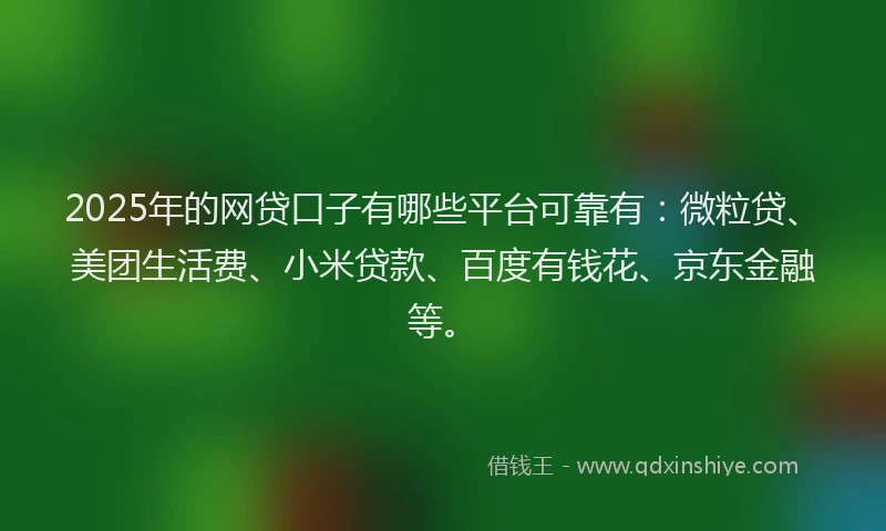 2025年的网贷口子有哪些平台可靠有：微粒贷、美团生活费、小米贷款、百度有钱花、京东金融等。