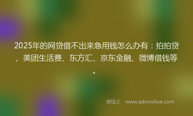 2025年的网贷借不出来急用钱怎么办有：拍拍贷、美团生活费、东方汇、京东金融、微博借钱等。