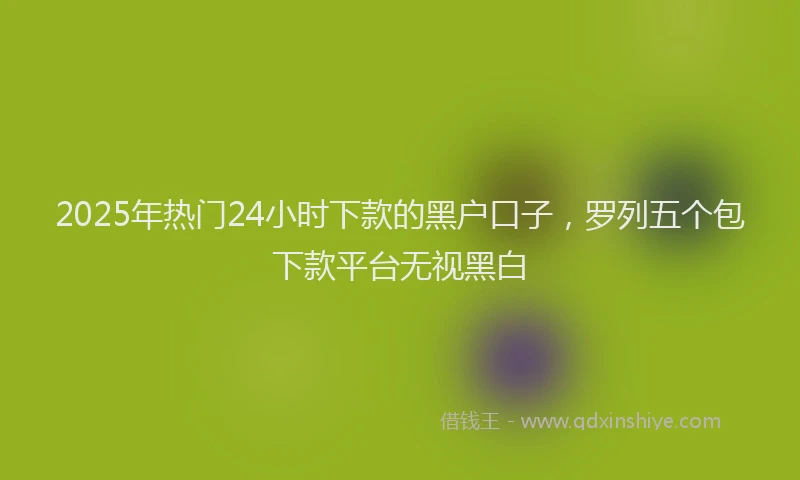 2025年热门24小时下款的黑户口子，罗列五个包下款平台无视黑白