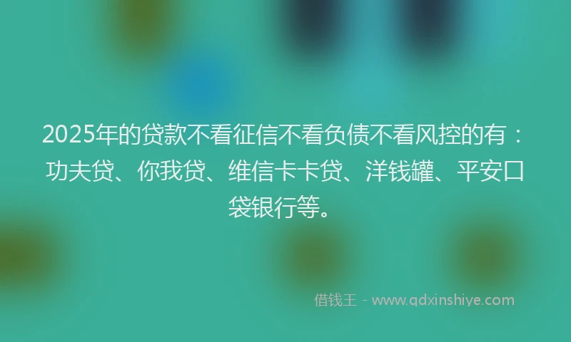 2025年的贷款不看征信不看负债不看风控的有：功夫贷、你我贷、维信卡卡贷、洋钱罐、平安口袋银行等。