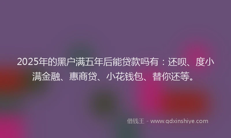 2025年的黑户满五年后能贷款吗有：还呗、度小满金融、惠商贷、小花钱包、替你还等。