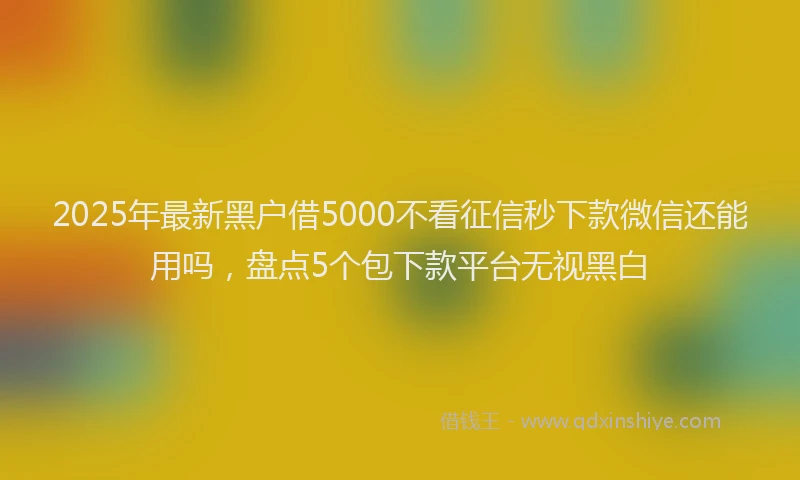 2025年最新黑户借5000不看征信秒下款微信还能用吗，盘点5个包下款平台无视黑白