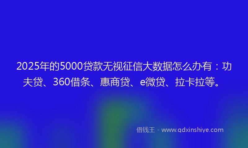 2025年的5000贷款无视征信大数据怎么办有：功夫贷、360借条、惠商贷、e微贷、拉卡拉等。