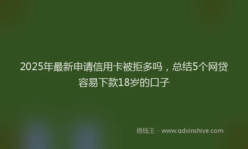 2025年最新申请信用卡被拒多吗，总结5个网贷容易下款18岁的口子