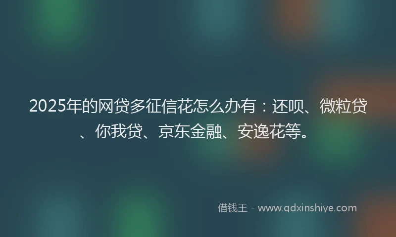 2025年的网贷多征信花怎么办有：还呗、微粒贷、你我贷、京东金融、安逸花等。