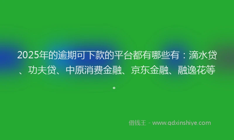 2025年的逾期可下款的平台都有哪些有：滴水贷、功夫贷、中原消费金融、京东金融、融逸花等。