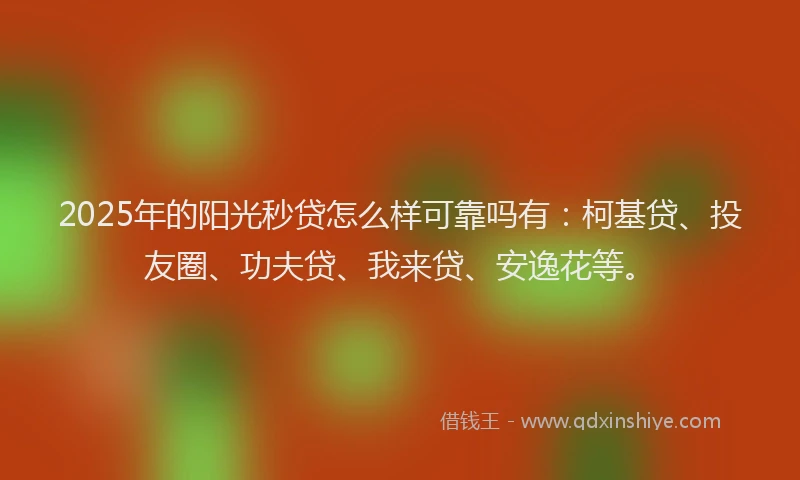 2025年的阳光秒贷怎么样可靠吗有：柯基贷、投友圈、功夫贷、我来贷、安逸花等。