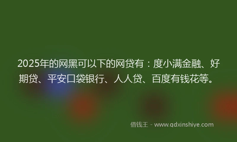 2025年的网黑可以下的网贷有：度小满金融、好期贷、平安口袋银行、人人贷、百度有钱花等。