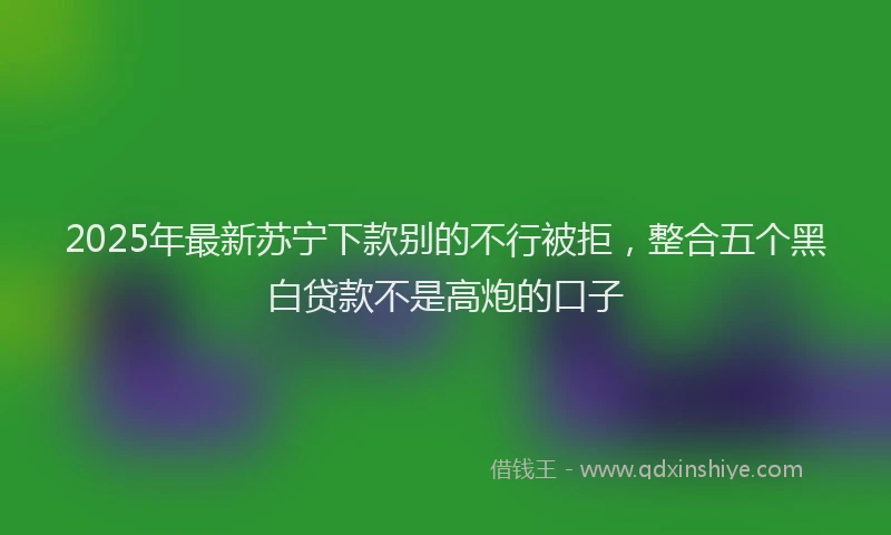 2025年最新苏宁下款别的不行被拒，整合五个黑白贷款不是高炮的口子