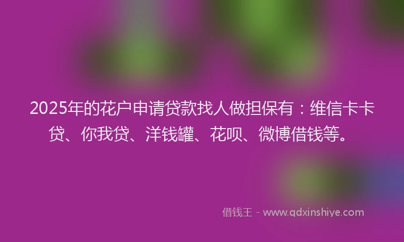 2025年的花户申请贷款找人做担保有：维信卡卡贷、你我贷、洋钱罐、花呗、微博借钱等。