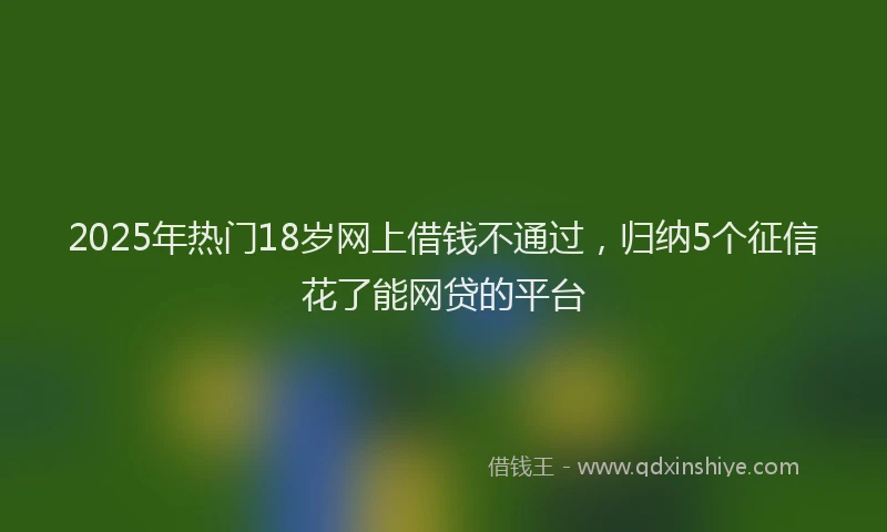2025年热门18岁网上借钱不通过，归纳5个征信花了能网贷的平台