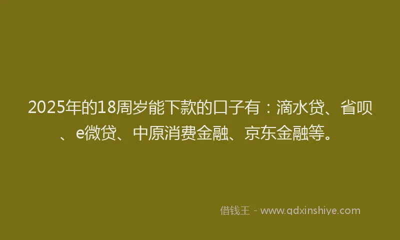 2025年的18周岁能下款的口子有：滴水贷、省呗、e微贷、中原消费金融、京东金融等。