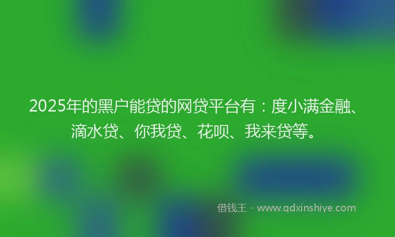 2025年的黑户能贷的网贷平台有：度小满金融、滴水贷、你我贷、花呗、我来贷等。