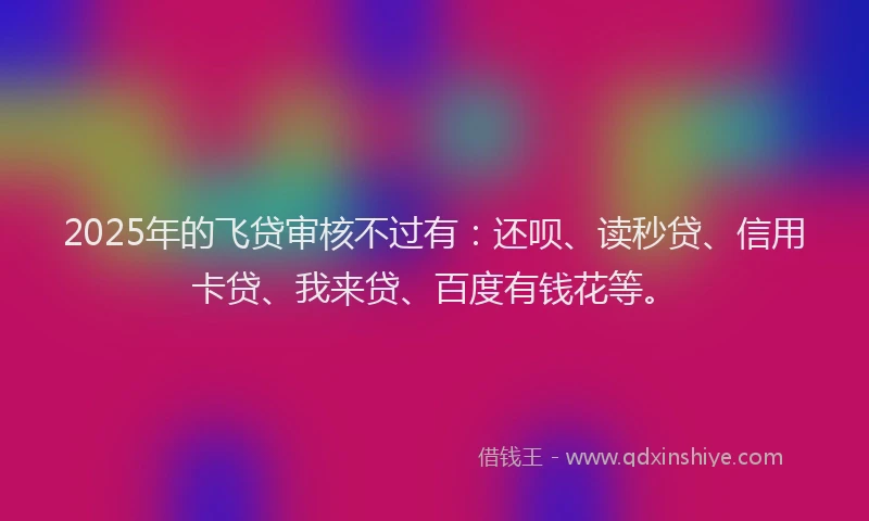 2025年的飞贷审核不过有：还呗、读秒贷、信用卡贷、我来贷、百度有钱花等。