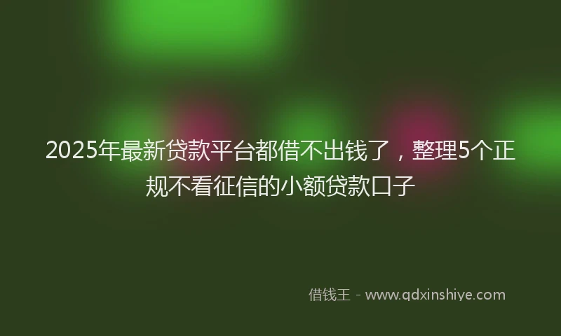 2025年最新贷款平台都借不出钱了，整理5个正规不看征信的小额贷款口子