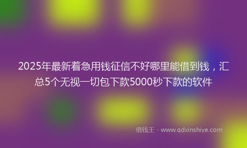 2025年最新着急用钱征信不好哪里能借到钱，汇总5个无视一切包下款5000秒下款的软件