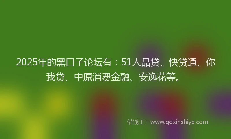 2025年的黑口子论坛有：51人品贷、快贷通、你我贷、中原消费金融、安逸花等。