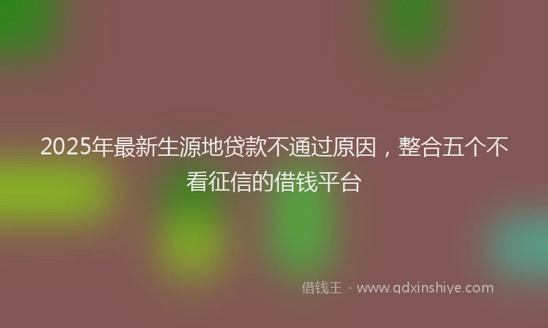 2025年最新生源地贷款不通过原因，整合五个不看征信的借钱平台