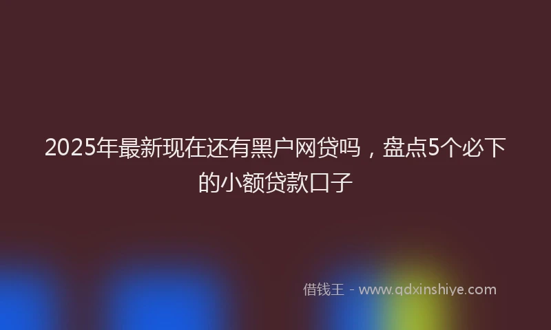 2025年最新现在还有黑户网贷吗，盘点5个必下的小额贷款口子