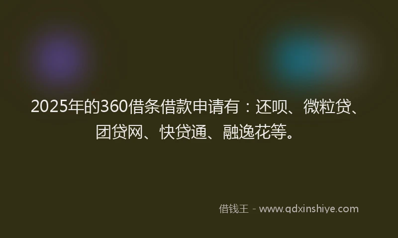 2025年的360借条借款申请有：还呗、微粒贷、团贷网、快贷通、融逸花等。