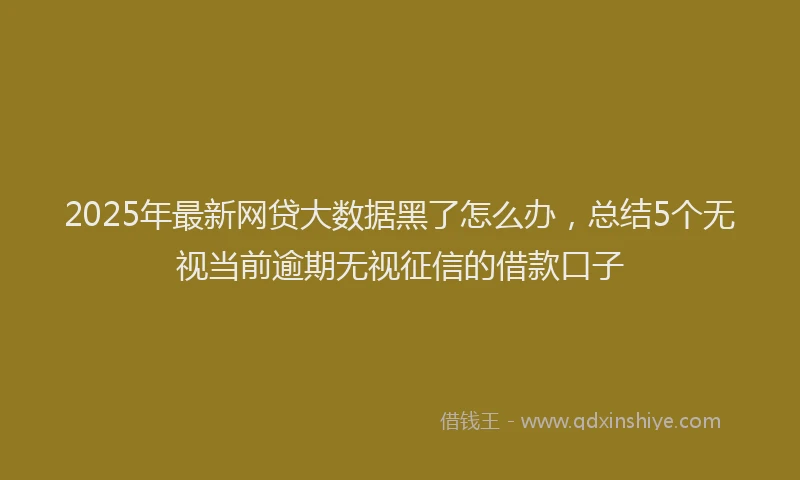 2025年最新网贷大数据黑了怎么办，总结5个无视当前逾期无视征信的借款口子