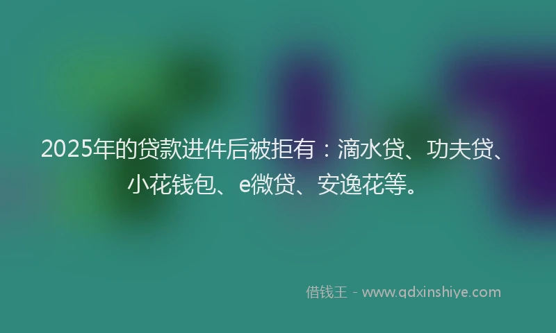 2025年的贷款进件后被拒有：滴水贷、功夫贷、小花钱包、e微贷、安逸花等。
