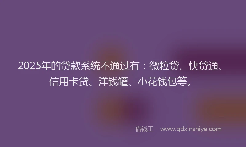 2025年的贷款系统不通过有：微粒贷、快贷通、信用卡贷、洋钱罐、小花钱包等。