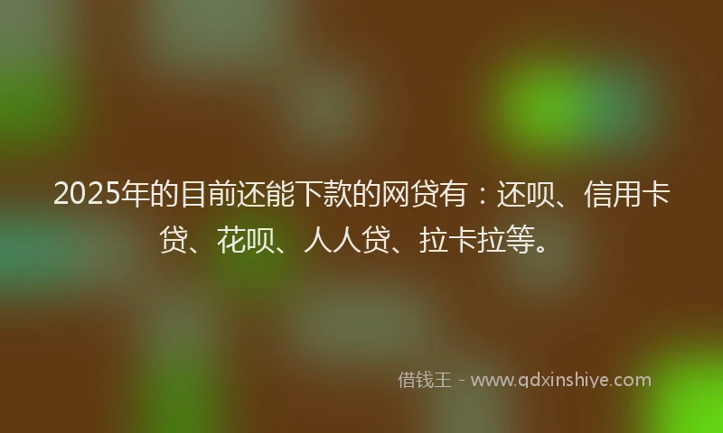 2025年的目前还能下款的网贷有:还呗、信用卡贷、花呗、人人贷、拉卡拉等。