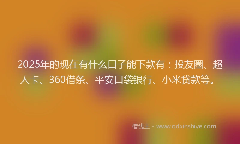 2025年的现在有什么口子能下款有：投友圈、超人卡、360借条、平安口袋银行、小米贷款等。